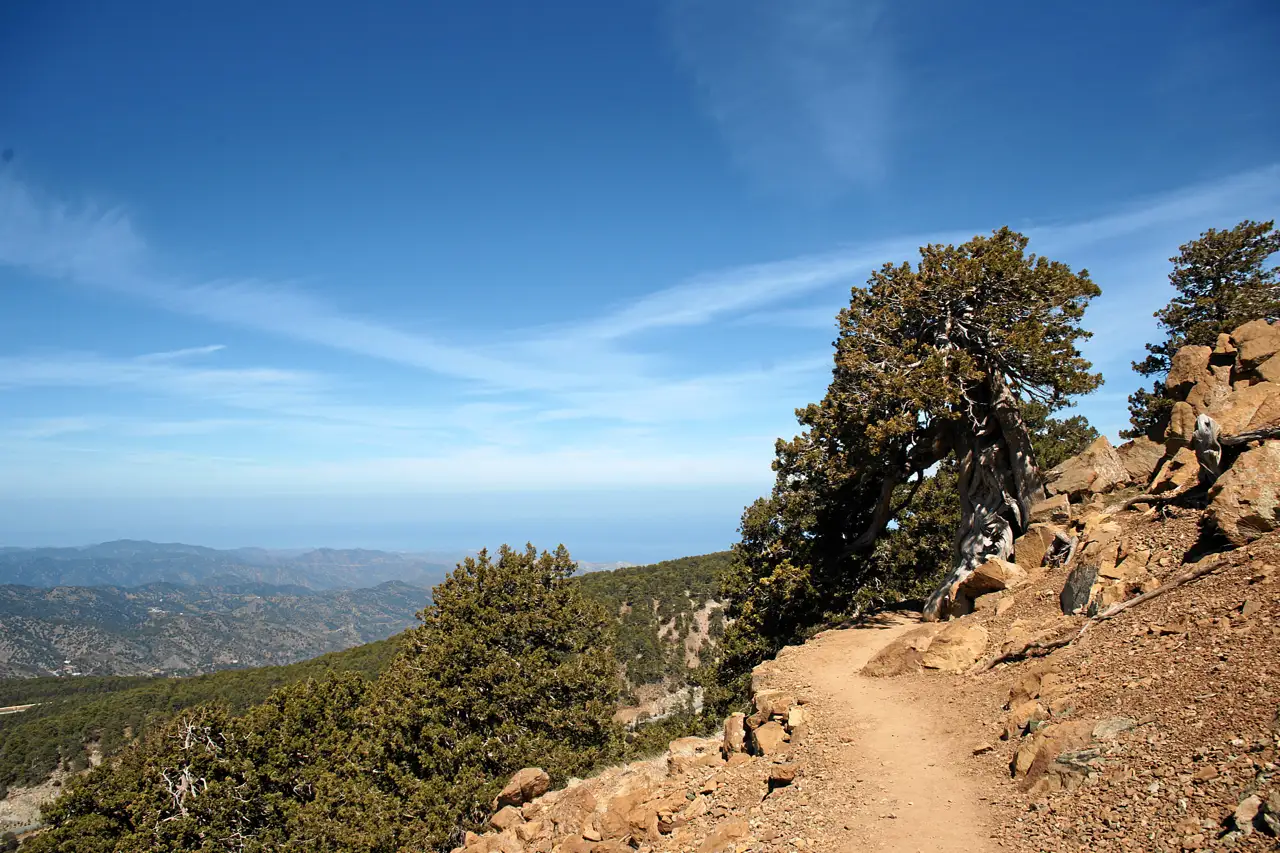 A dirt path along a rocky ridge with a twisted pine, forested hills and a hazy horizon