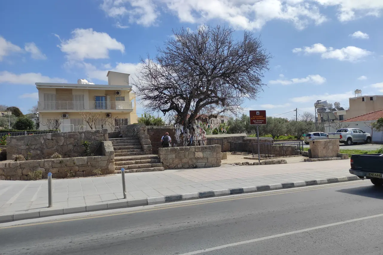 Bare tree above stone steps and a low wall, with a quiet road and a building behind under a blue sky