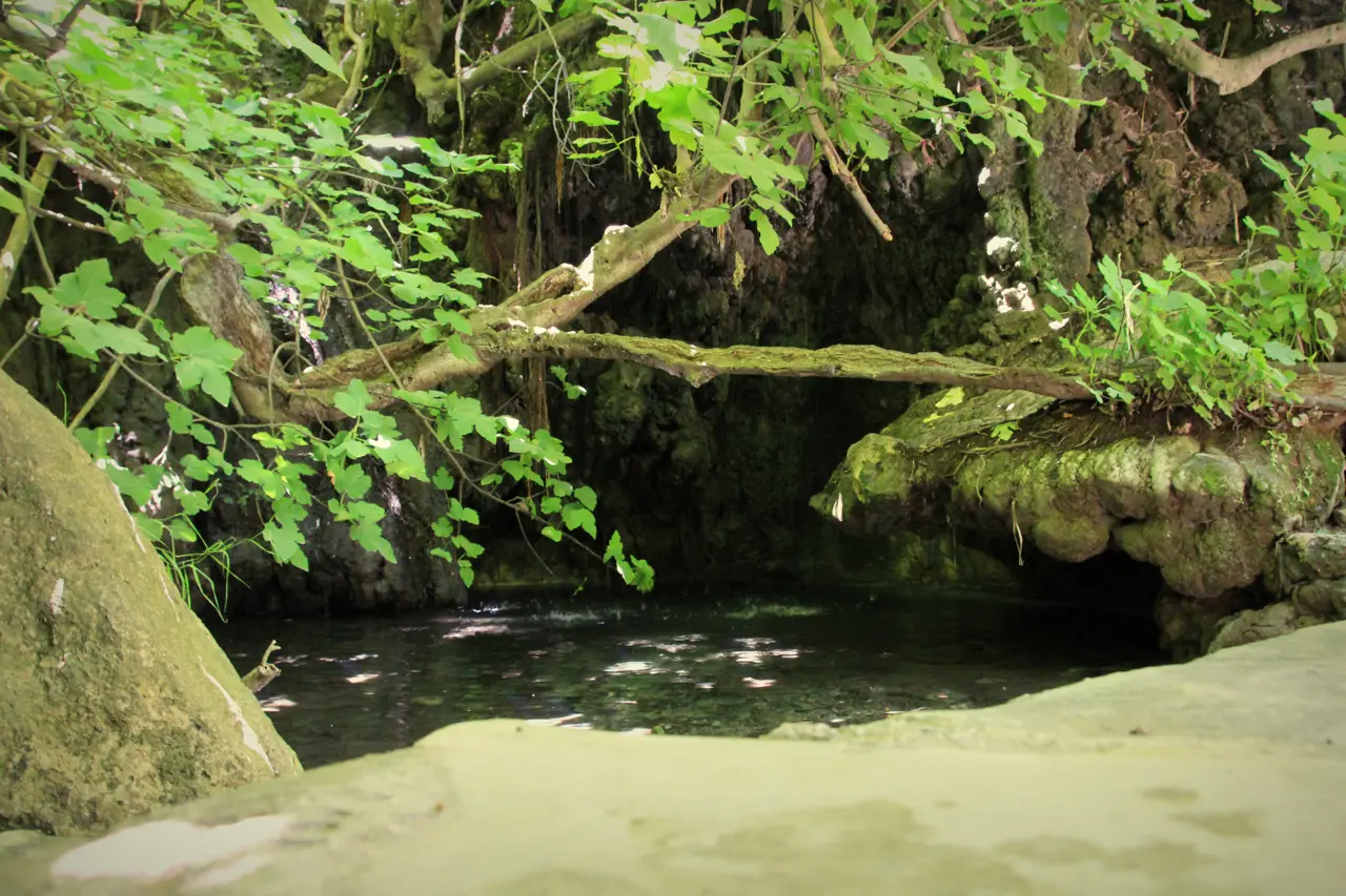Still dark pool in a mossy grotto, framed by green leaves and a branch overhead, with smooth pale rock in front